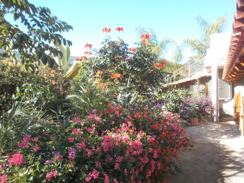 Finca Las Palmeras Icod De Los Vinos Room photo