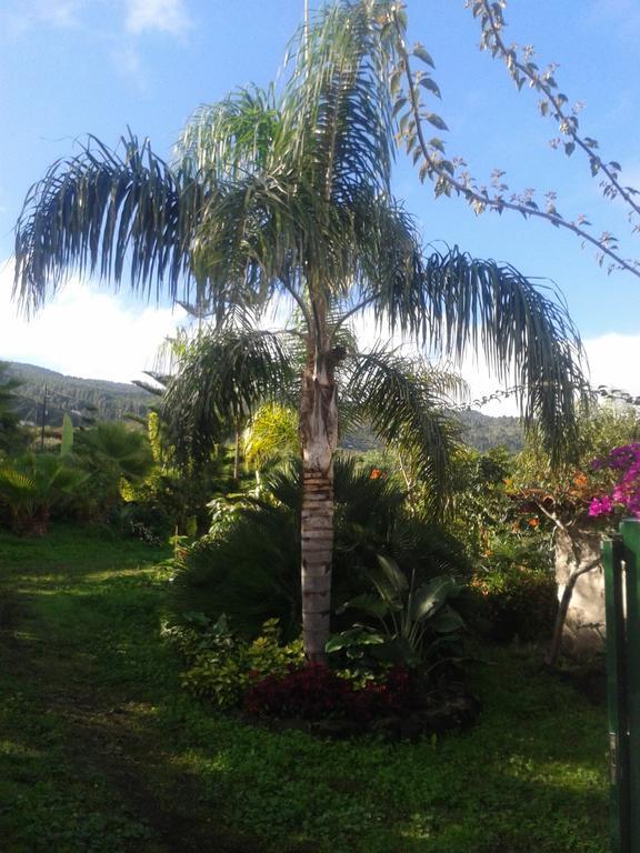 Finca Las Palmeras Icod De Los Vinos Room photo