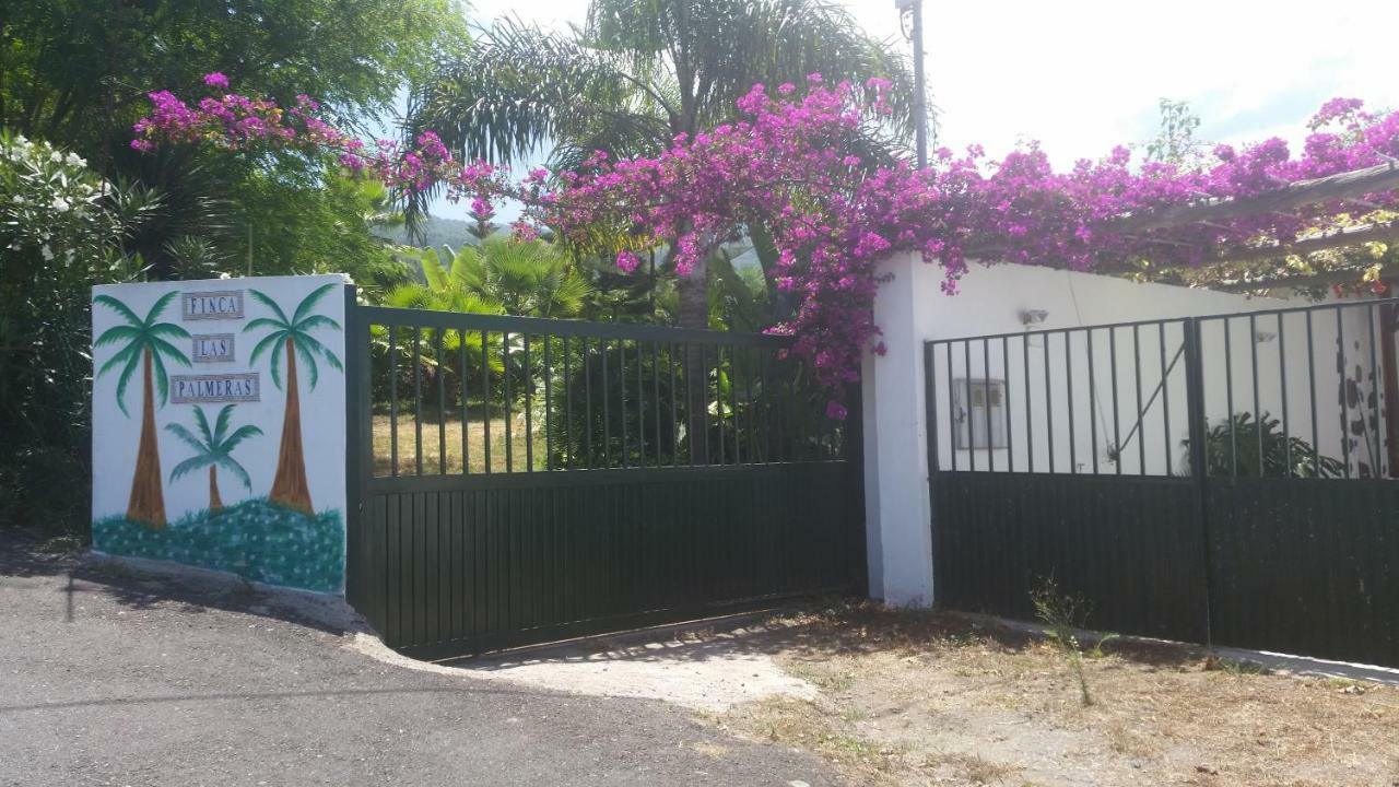 Finca Las Palmeras Icod De Los Vinos Exterior photo